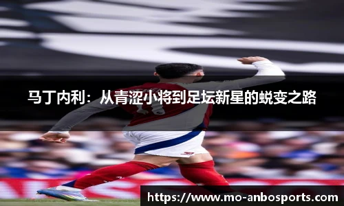 安博体育官网