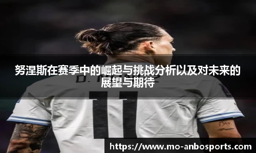 努涅斯在赛季中的崛起与挑战分析以及对未来的展望与期待